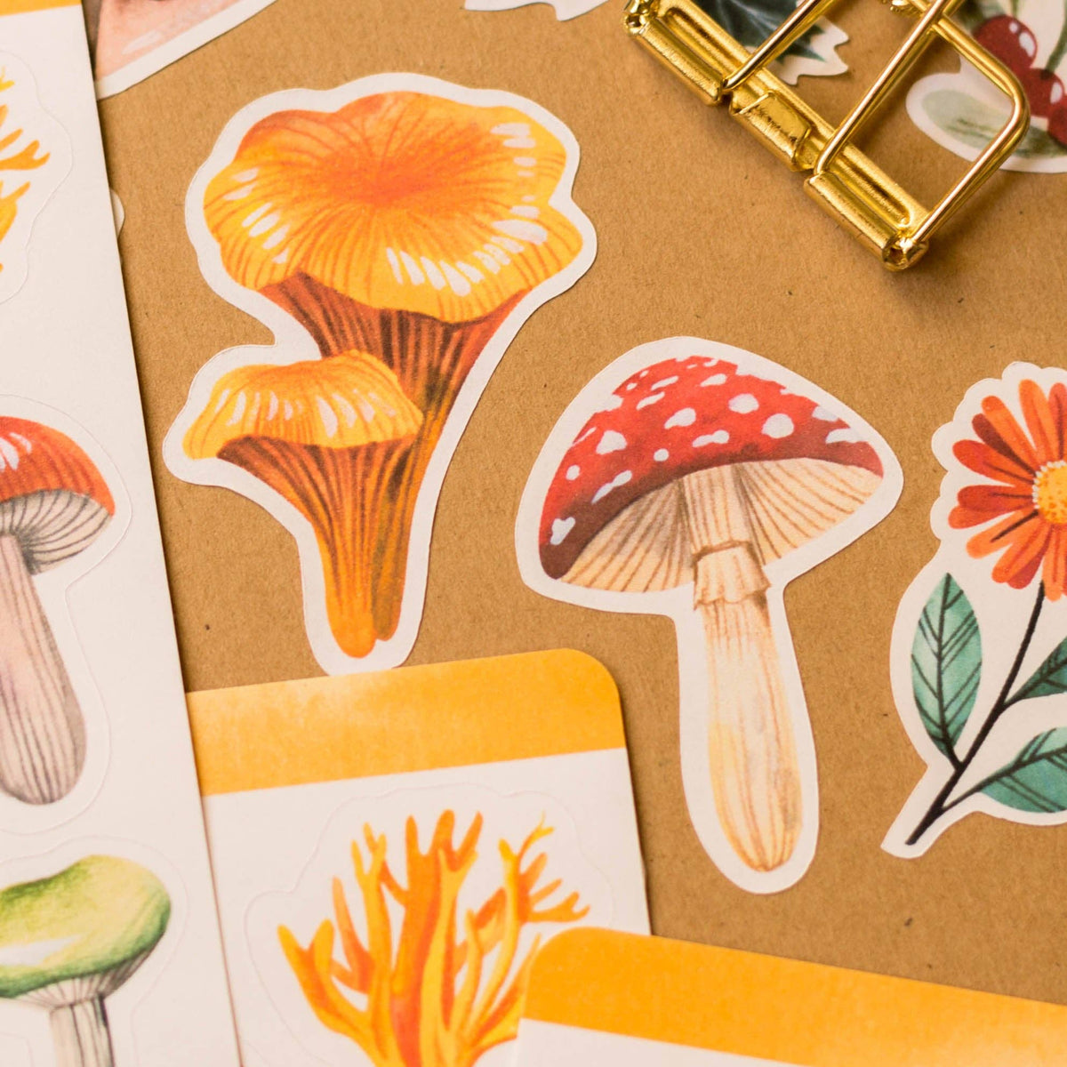 Sticker Sheet - Mushrooms