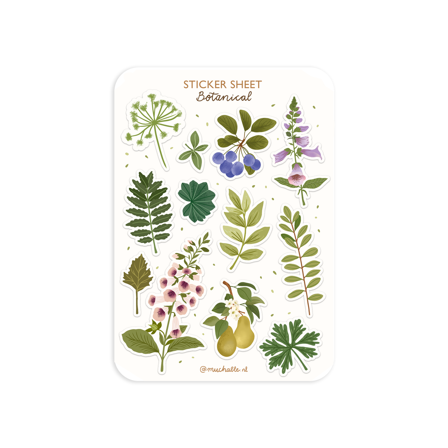 A6 sticker sheet - illustration wildflowers