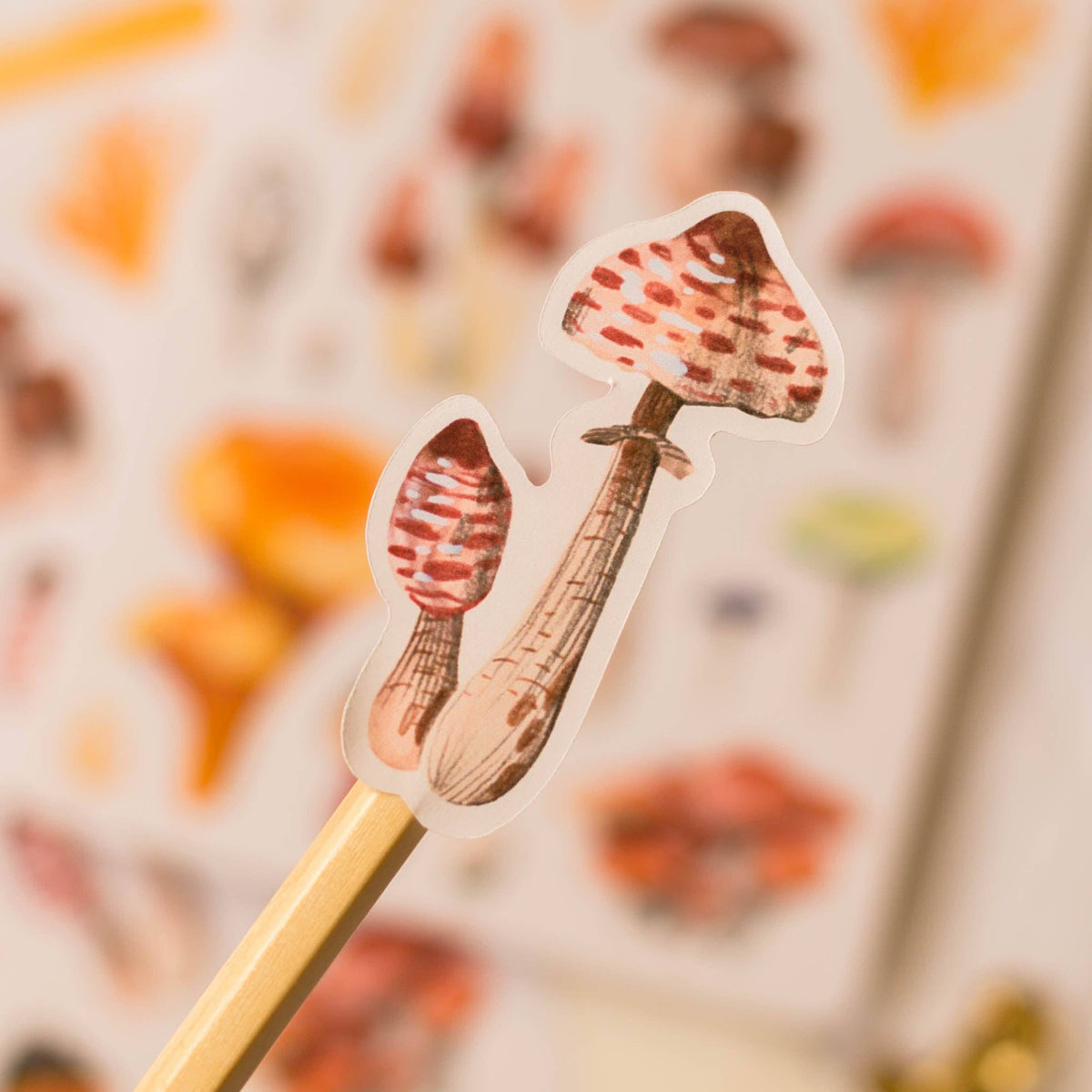Sticker Sheet - Mushrooms