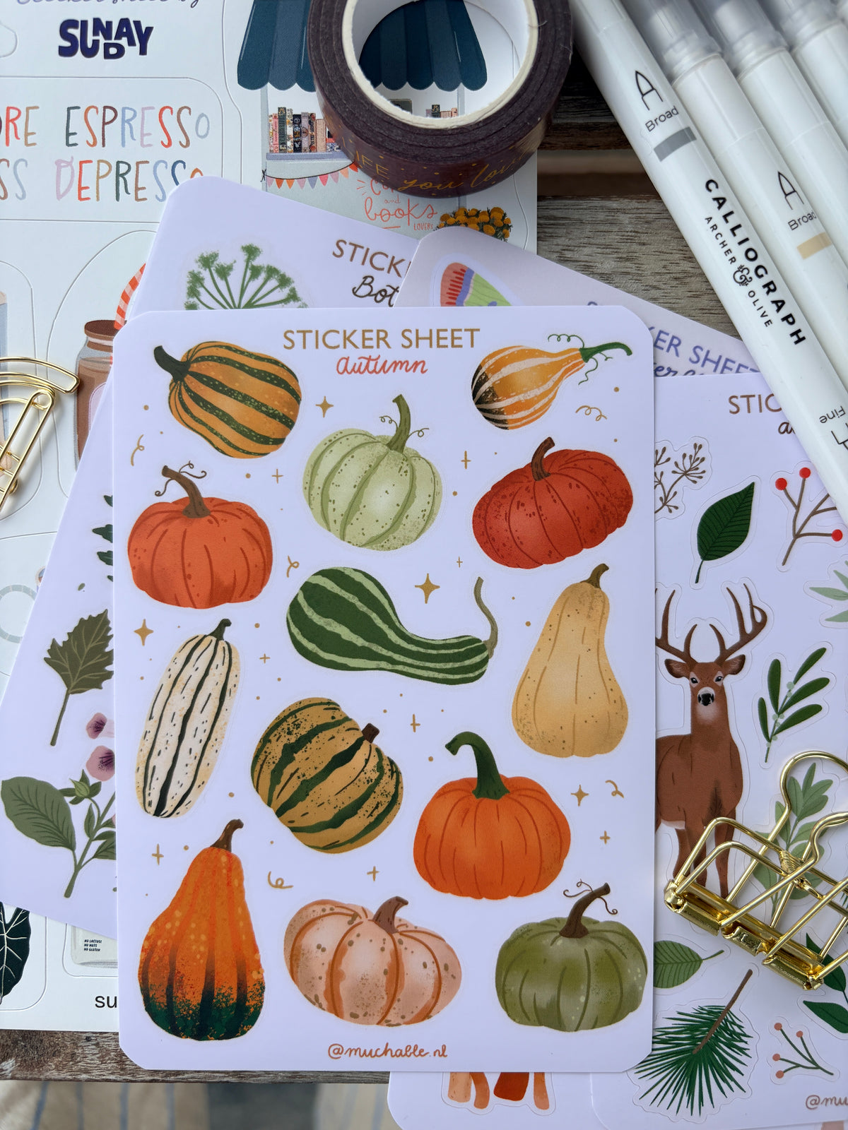A6 sticker sheet - autumn pumpkins - pompoen