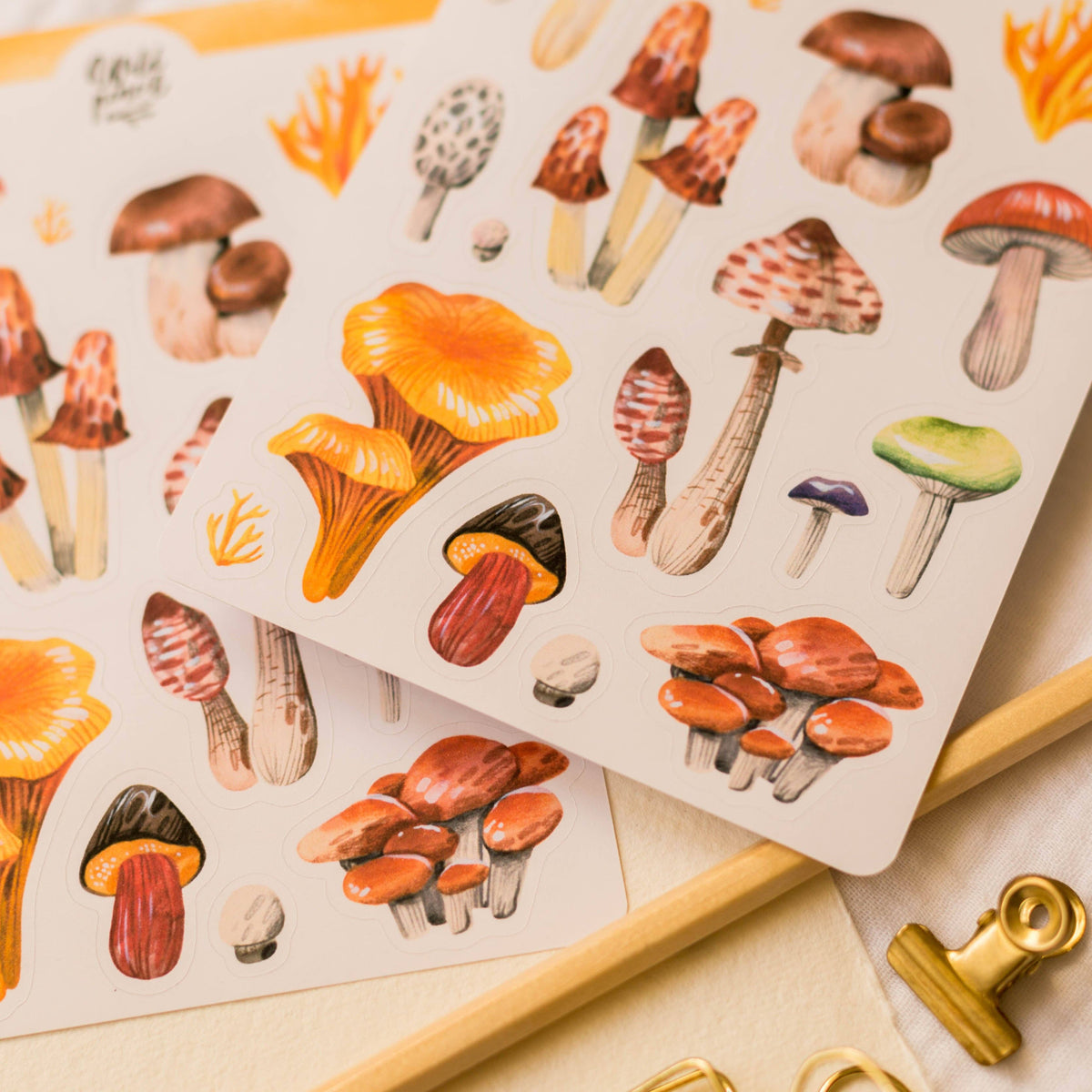 Sticker Sheet - Mushrooms