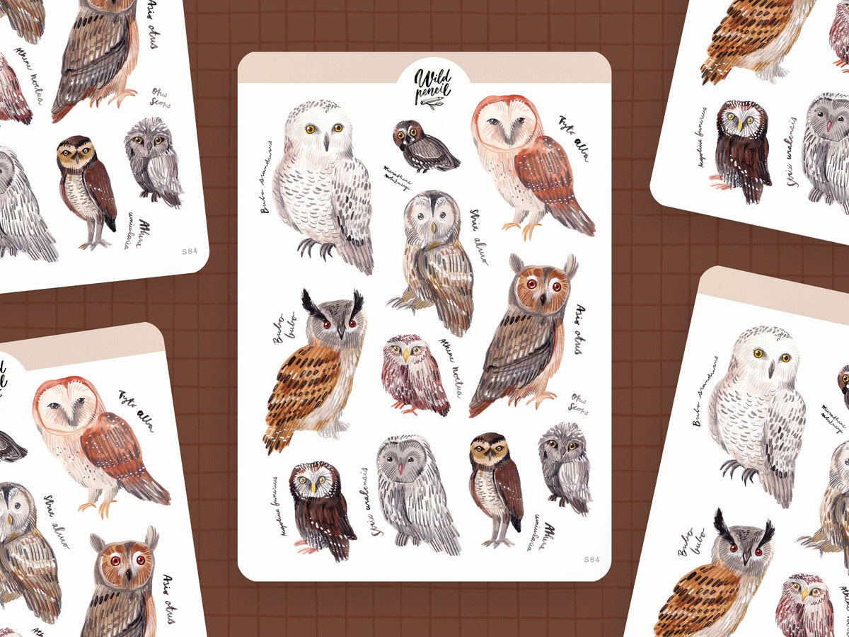Sticker Sheet - Owls