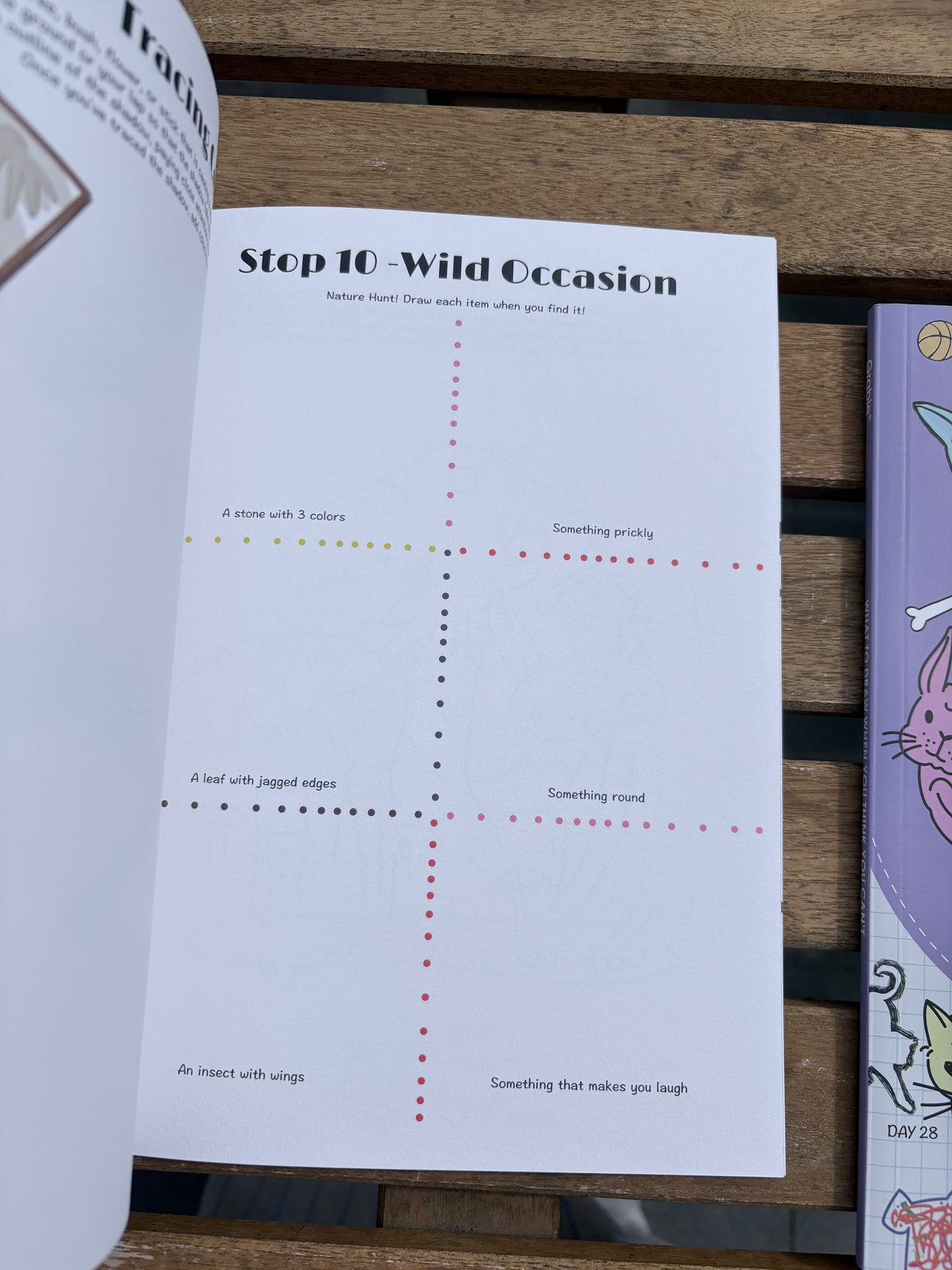 Grabie Unplug And Go Outside 30-day Workbook