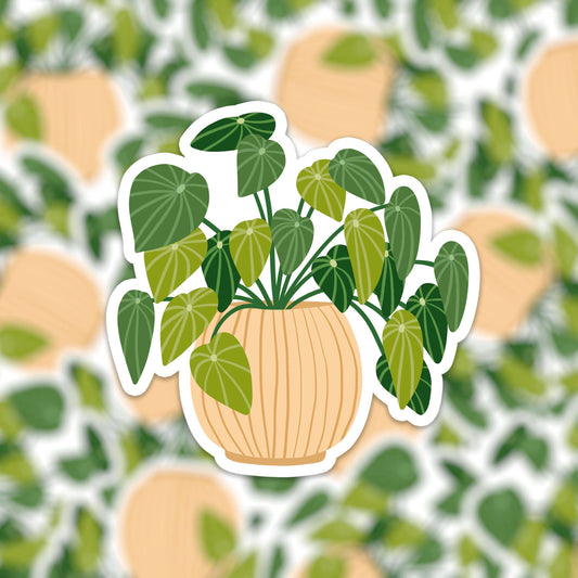 Vinyl sticker plant - Muchable