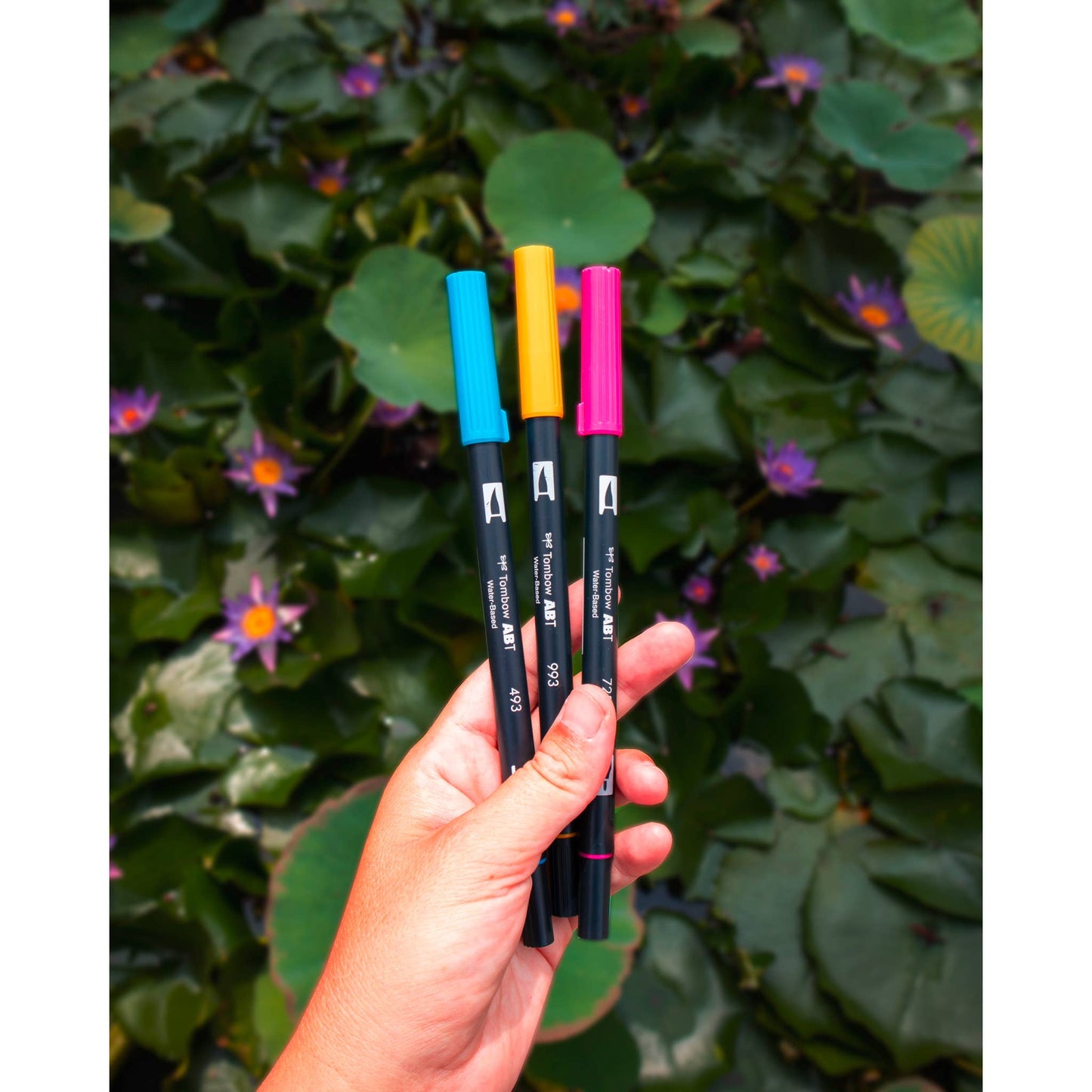 Tombow ABT Dual Brush Pens Set – Carpe Koi Japan Edition