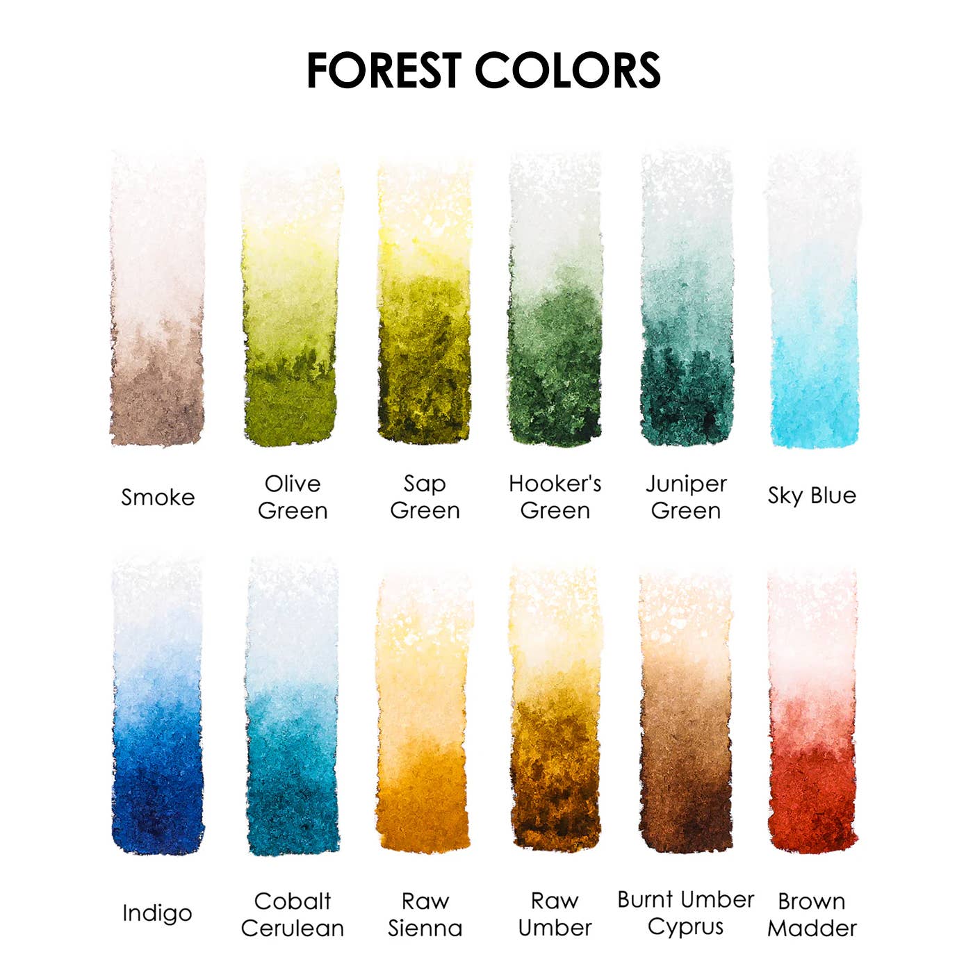 Grabie Watercolor Pocket Set of 12 - Forest Colors