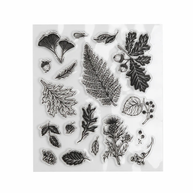 Acrylic Stamps: Forest Foliage - Archer & Olive