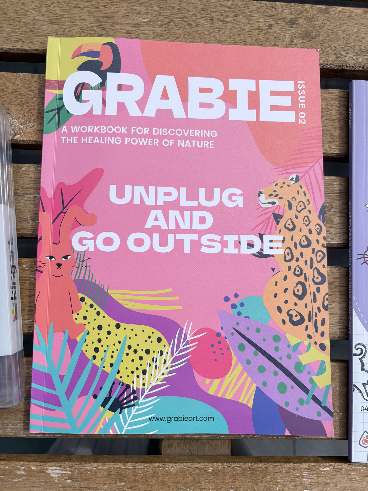 Grabie Unplug And Go Outside 30-day Workbook